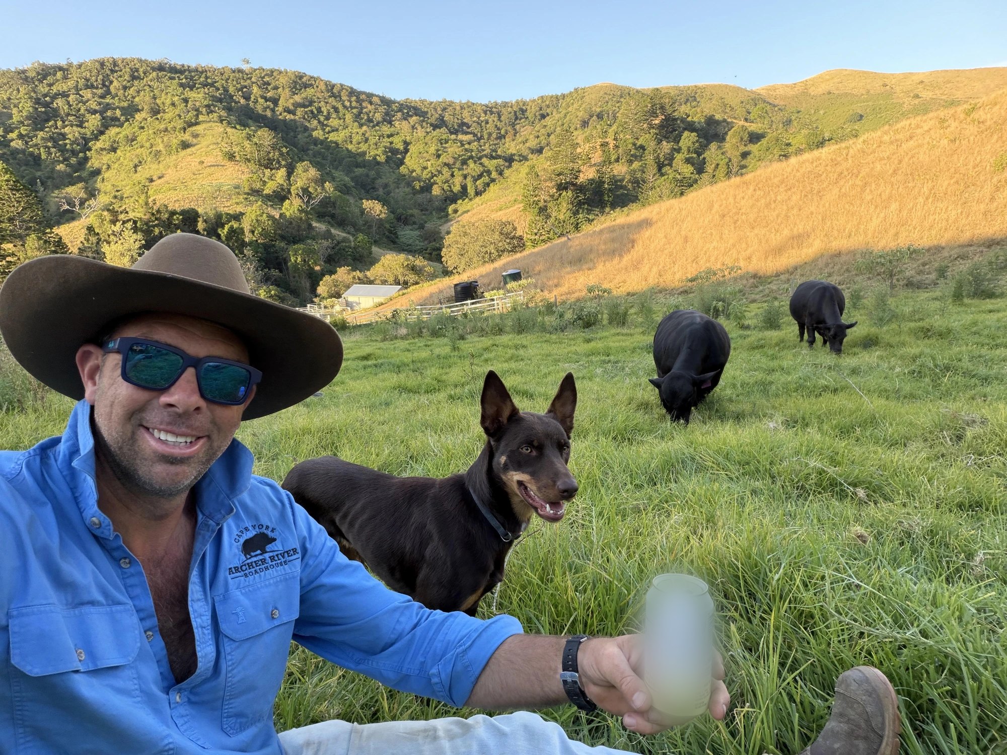 Knock-off time — checking the herd with the kelpie