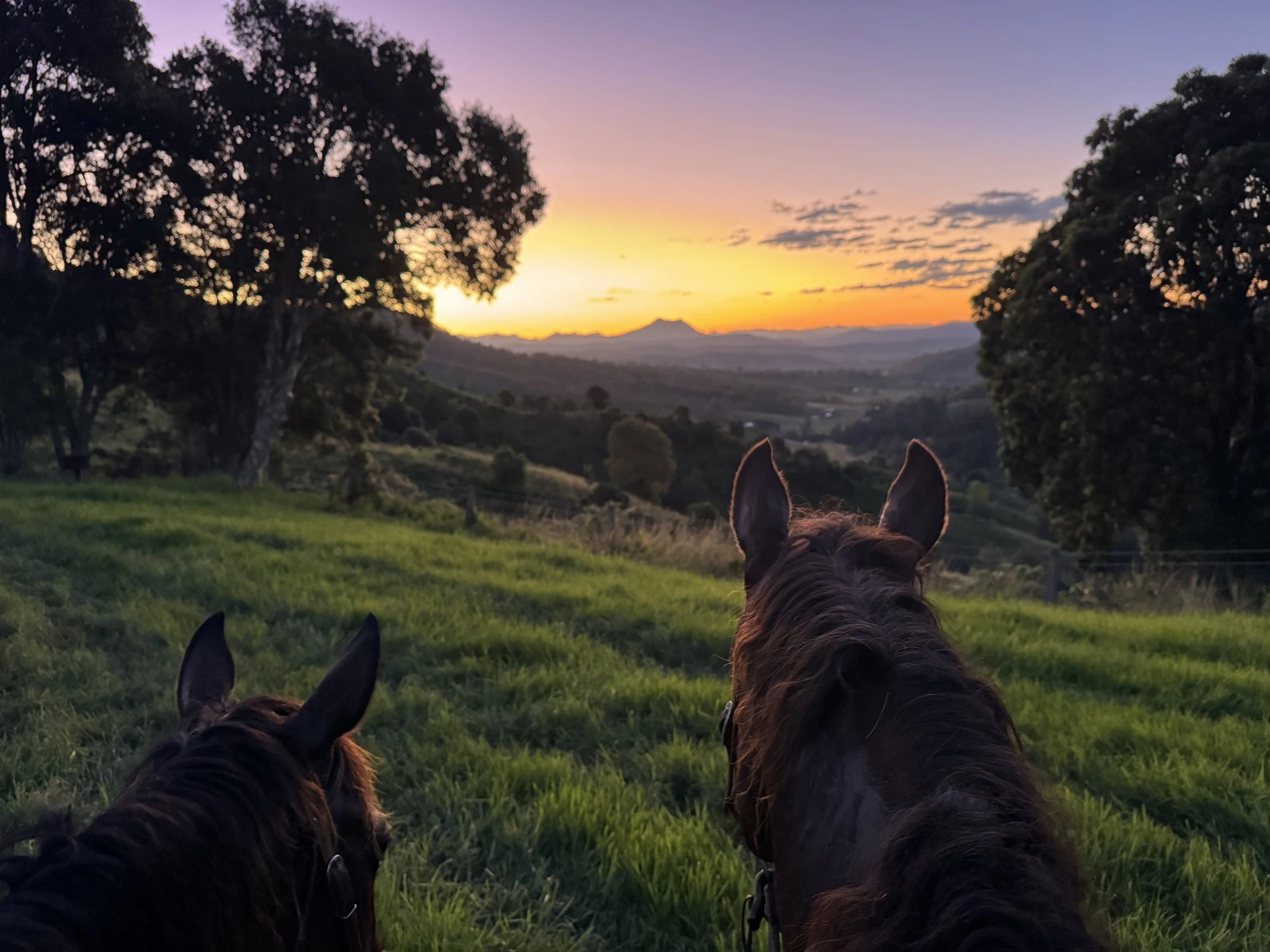 Between the ears — sundown over the Border Ranges